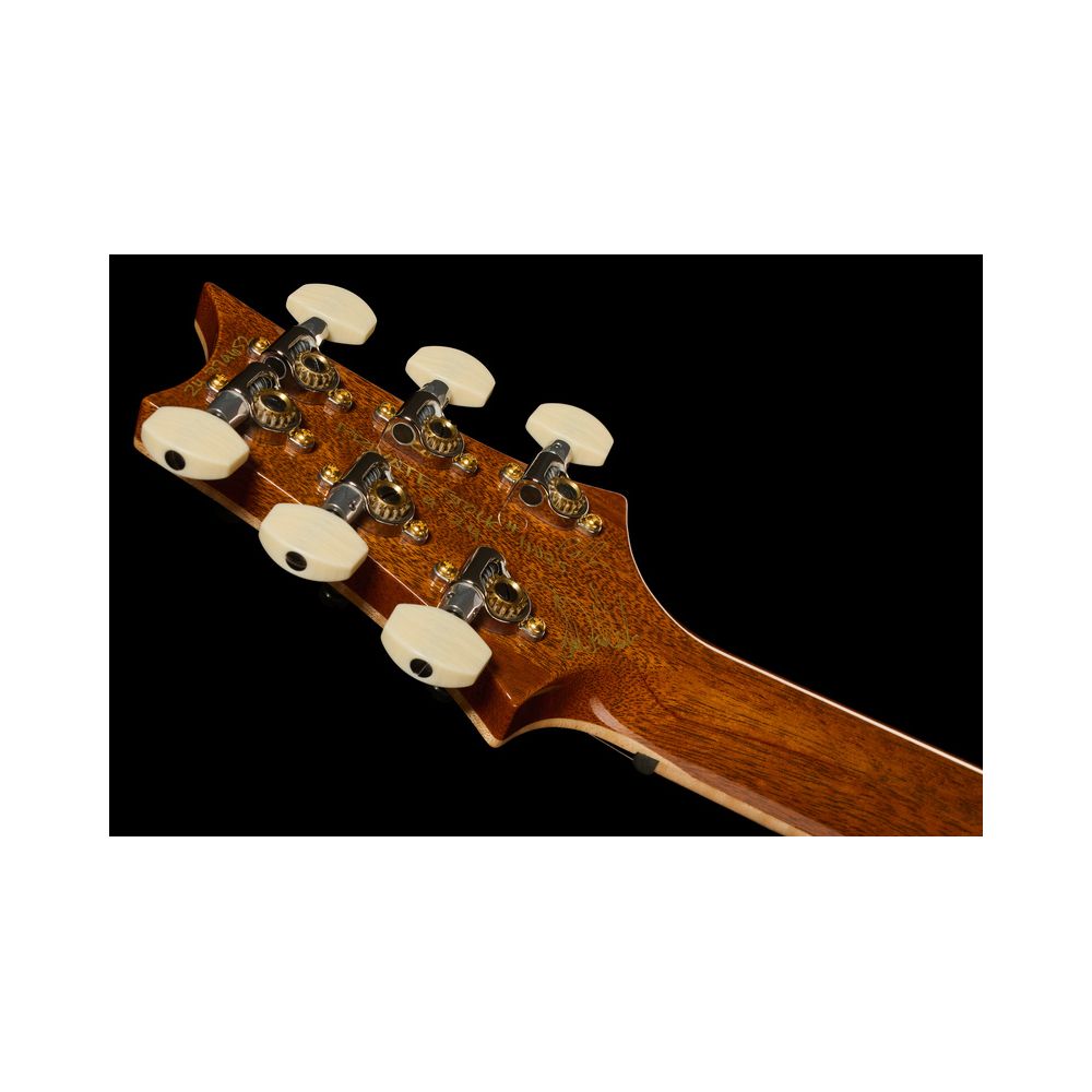 PRS Cu24 PS Aqua Violet Dragons – Thomann Ireland