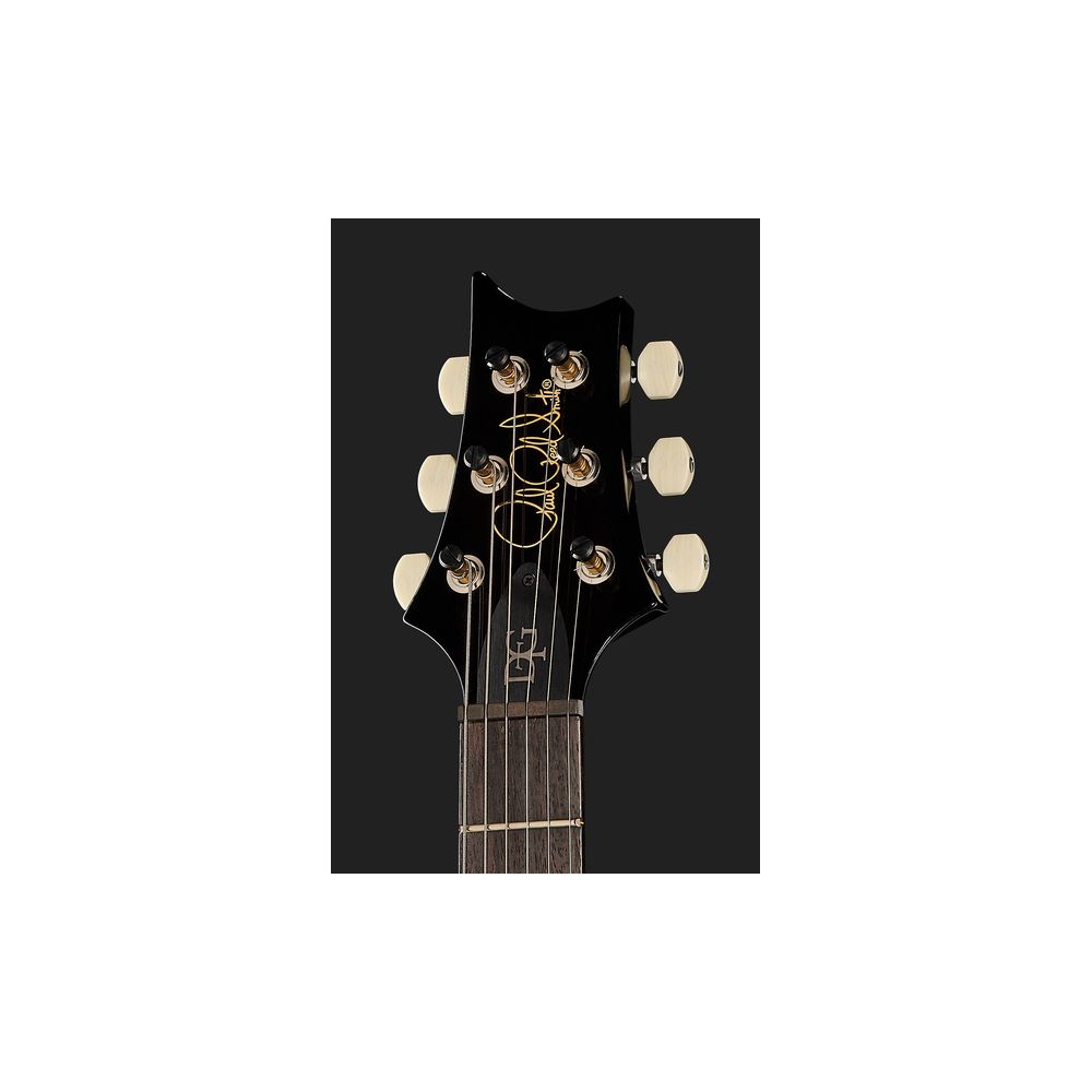 PRS DGT Birds Black Gold Burst '24 – Thomann Ireland