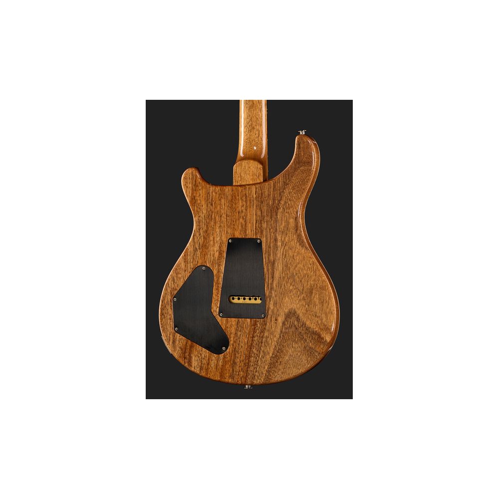 PRS DGT Birds Charcoal '24 – Thomann Ireland