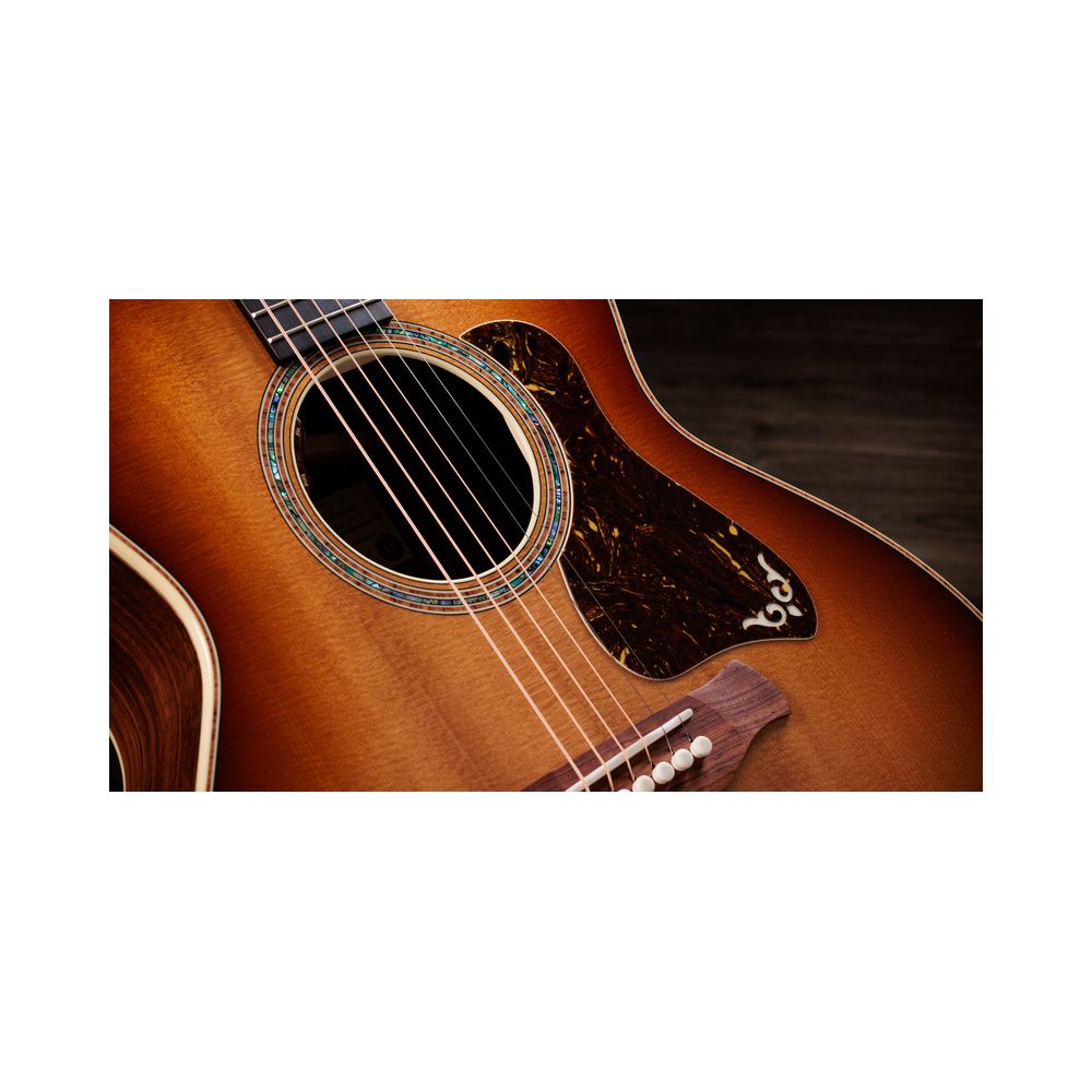 Taylor Gold Label 814e Sunburst – Thomann Ireland