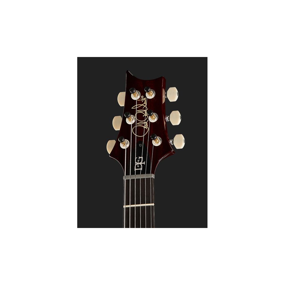 PRS DGT Birds DS – Thomann Ireland