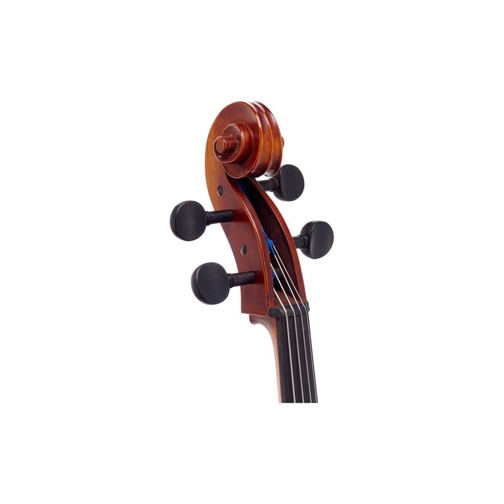 Gewa Maestro 6 Cello 4/4 – Thomann Ireland