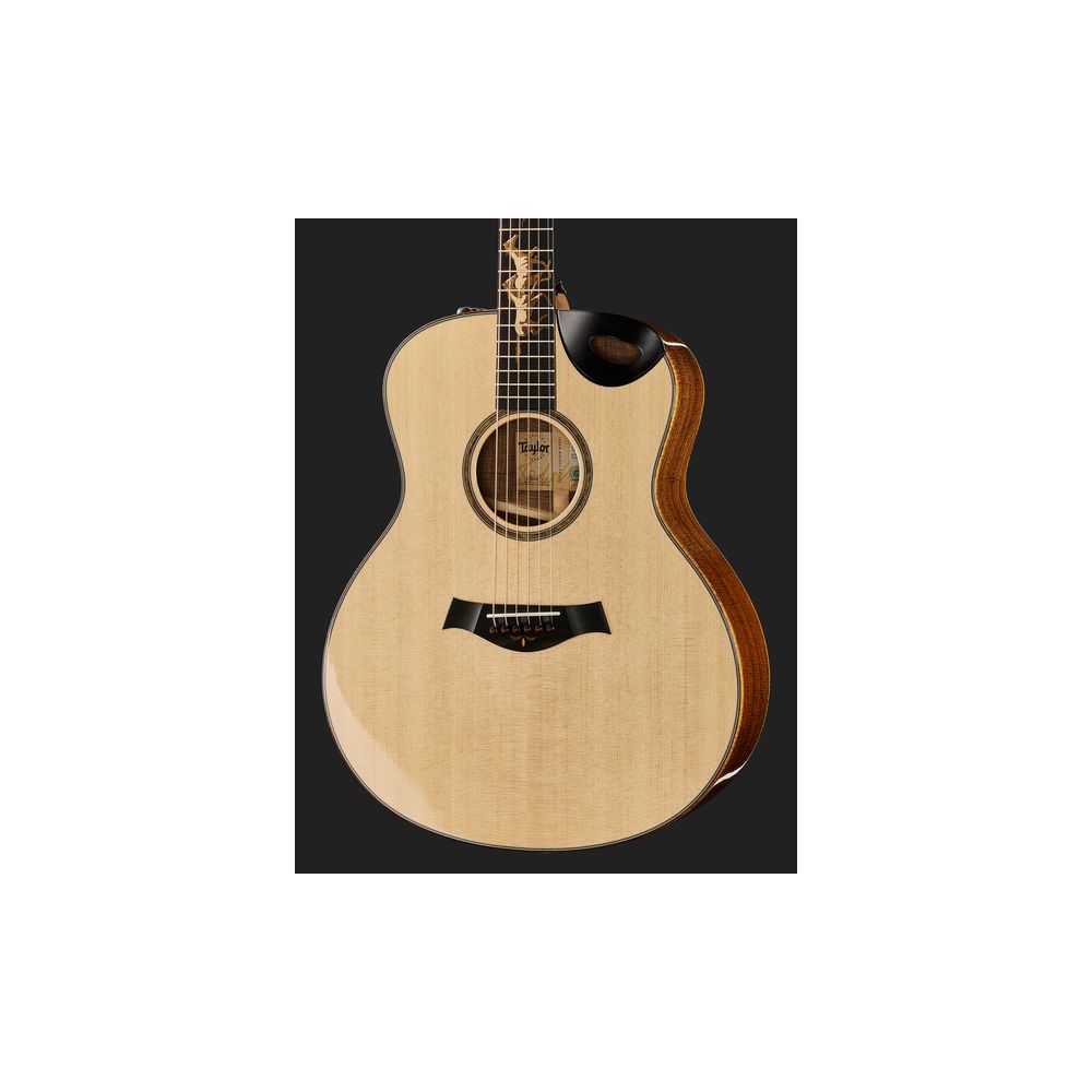 Taylor Custom #30 GS – Thomann Ireland