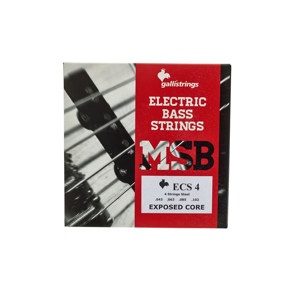 Galli Strings ECS4 Exposed Core Bass Str. – Thomann Ireland