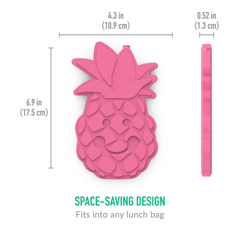 Bentgo Buddies Reusable Ice Packs (4-Pack)