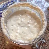 Organic Sourdough Starter