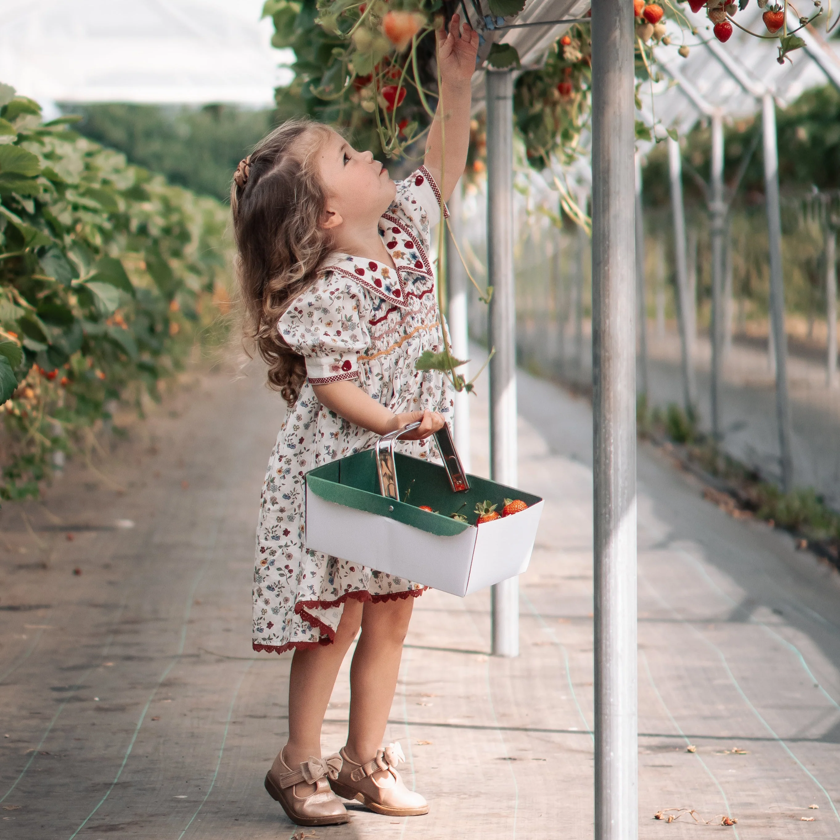 Olivia dress - Tutti Frutti