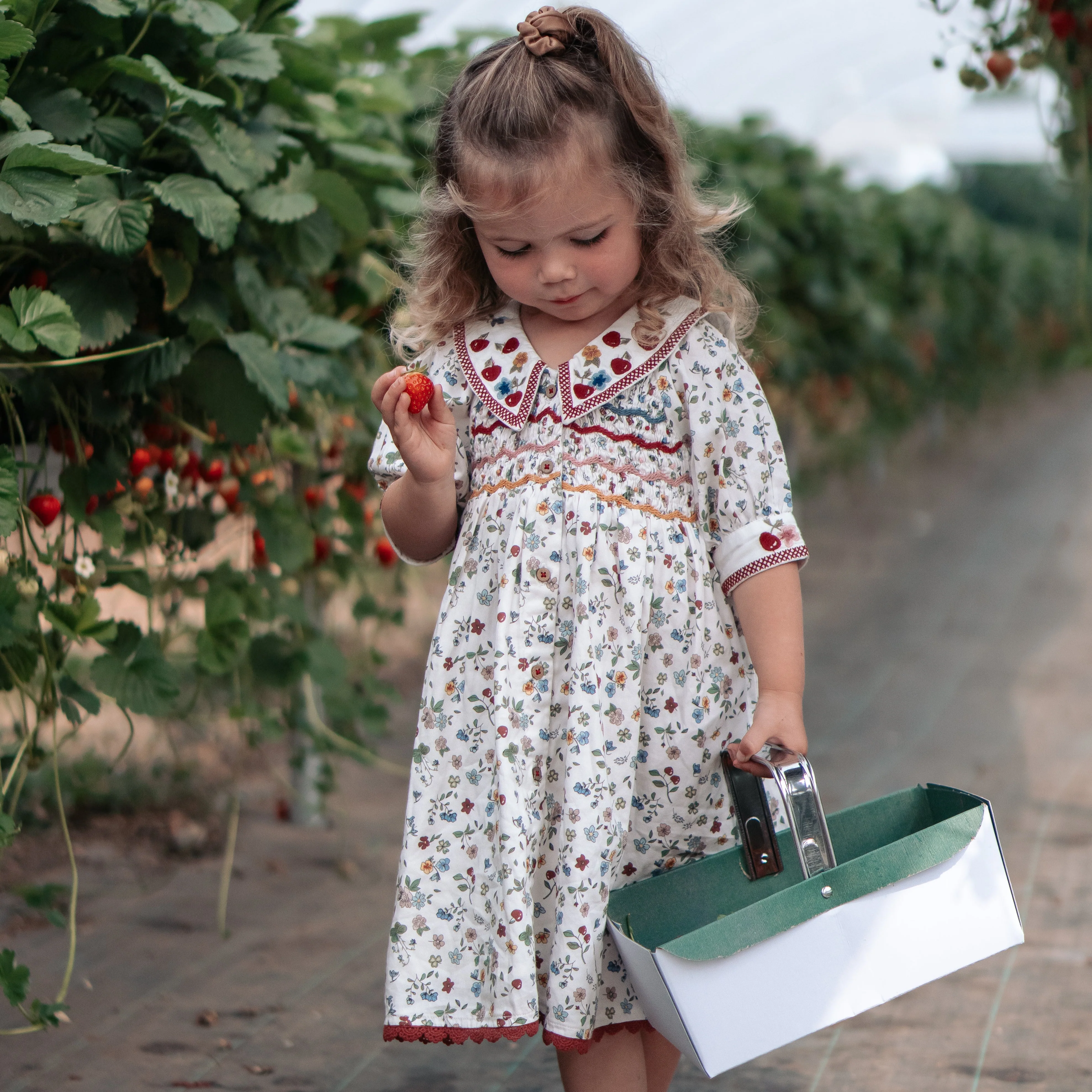 Olivia dress - Tutti Frutti