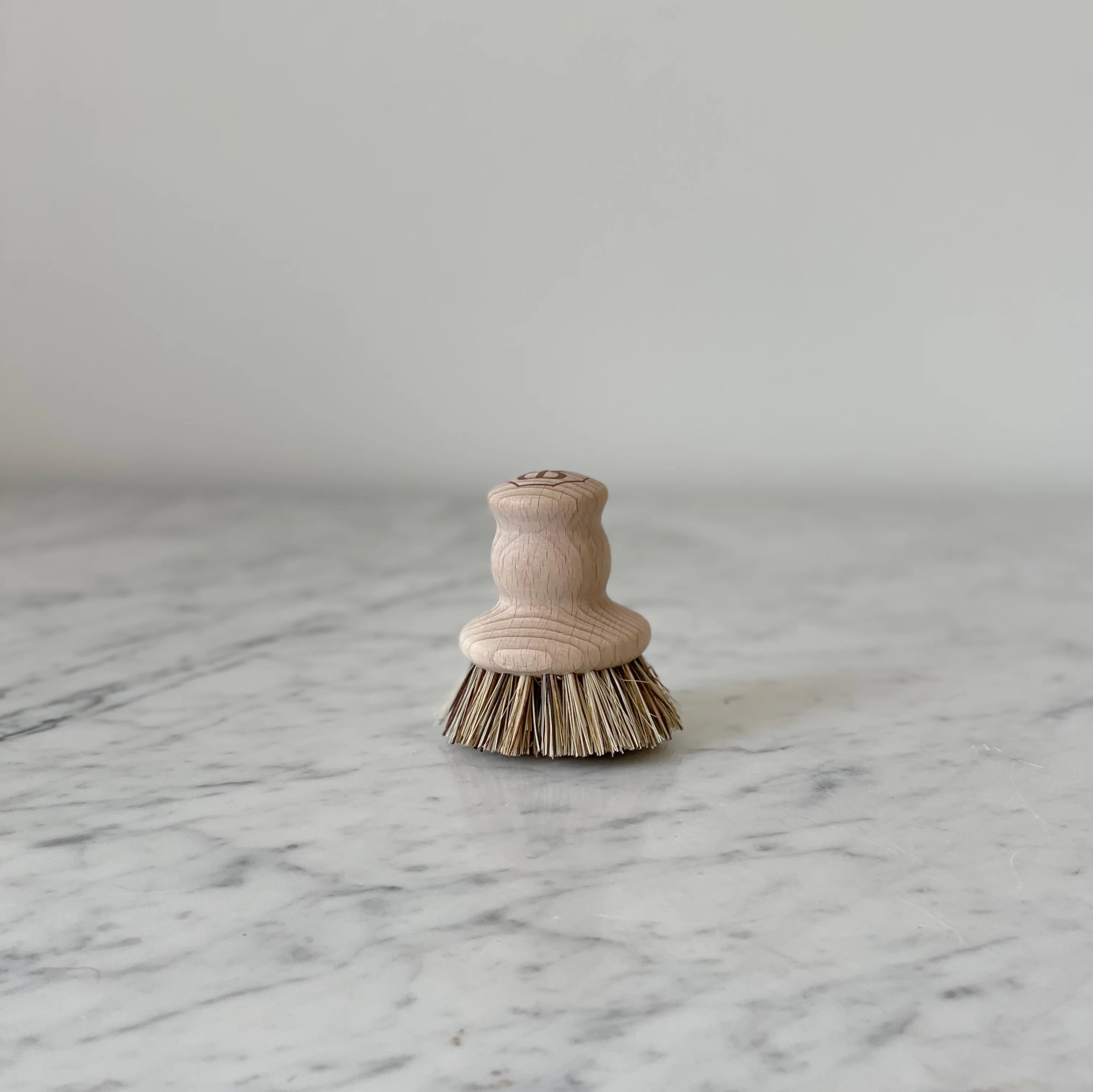 Heavy Duty Pot Brush