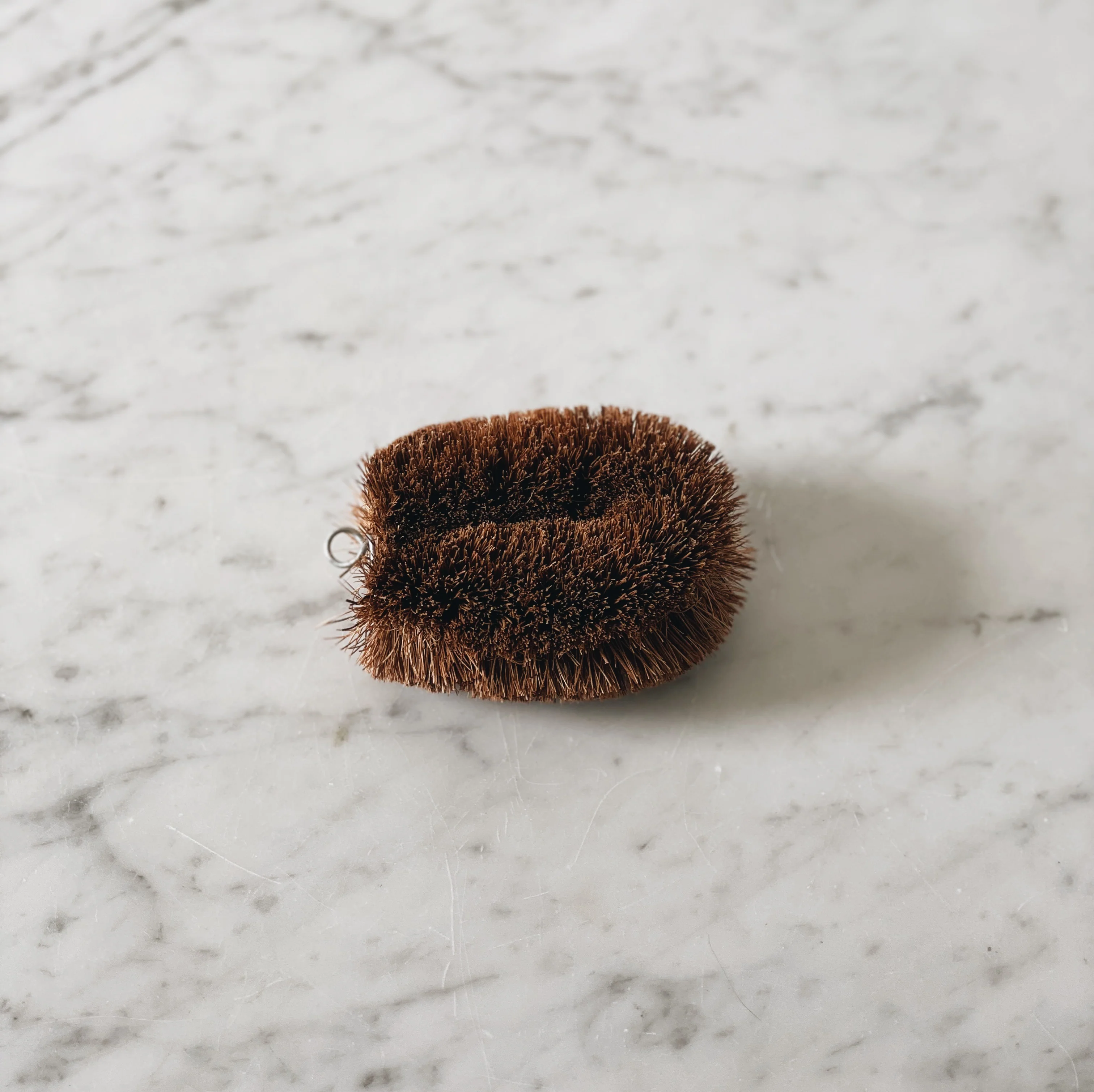 Coconut Scrubbing Brush