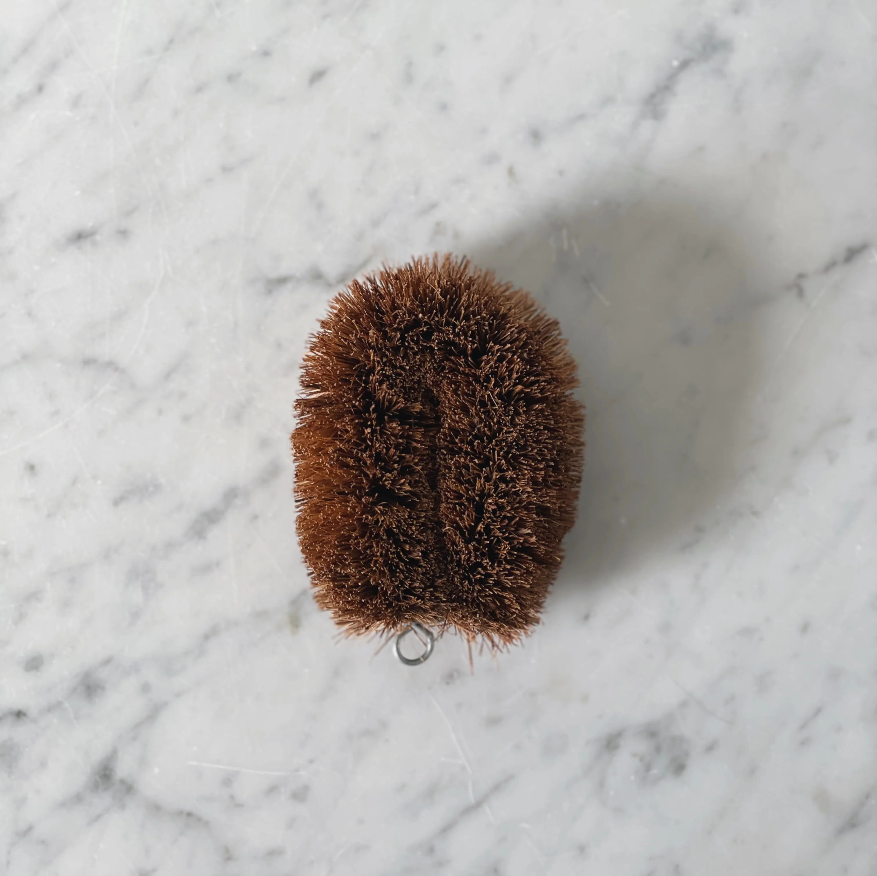 Coconut Scrubbing Brush