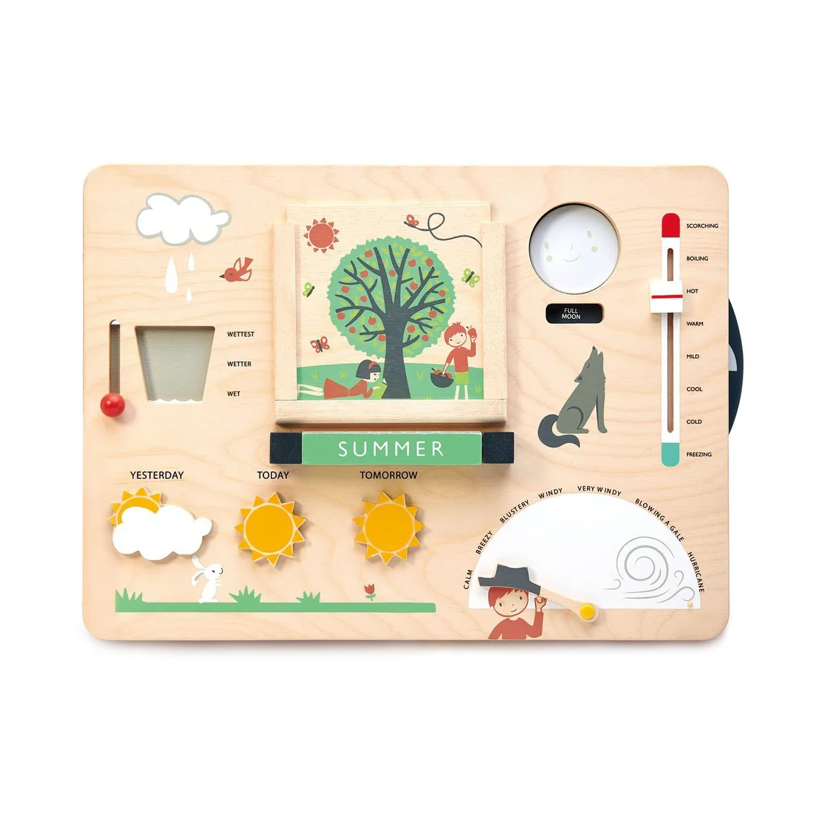 Weather Watch Station