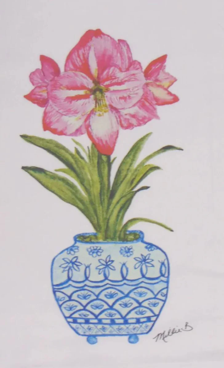 Christmas Kitchen Towels