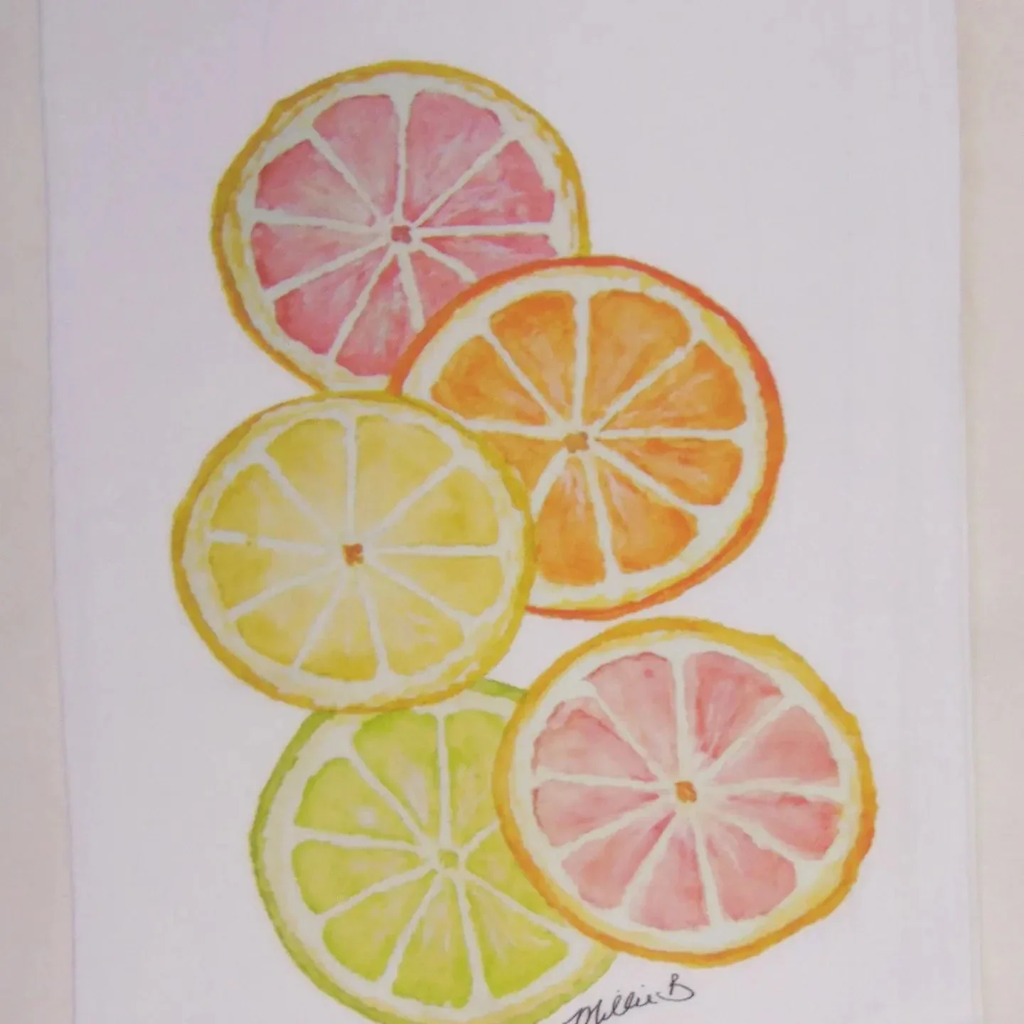 Hand Printed Kitchen Flour Sack Towels