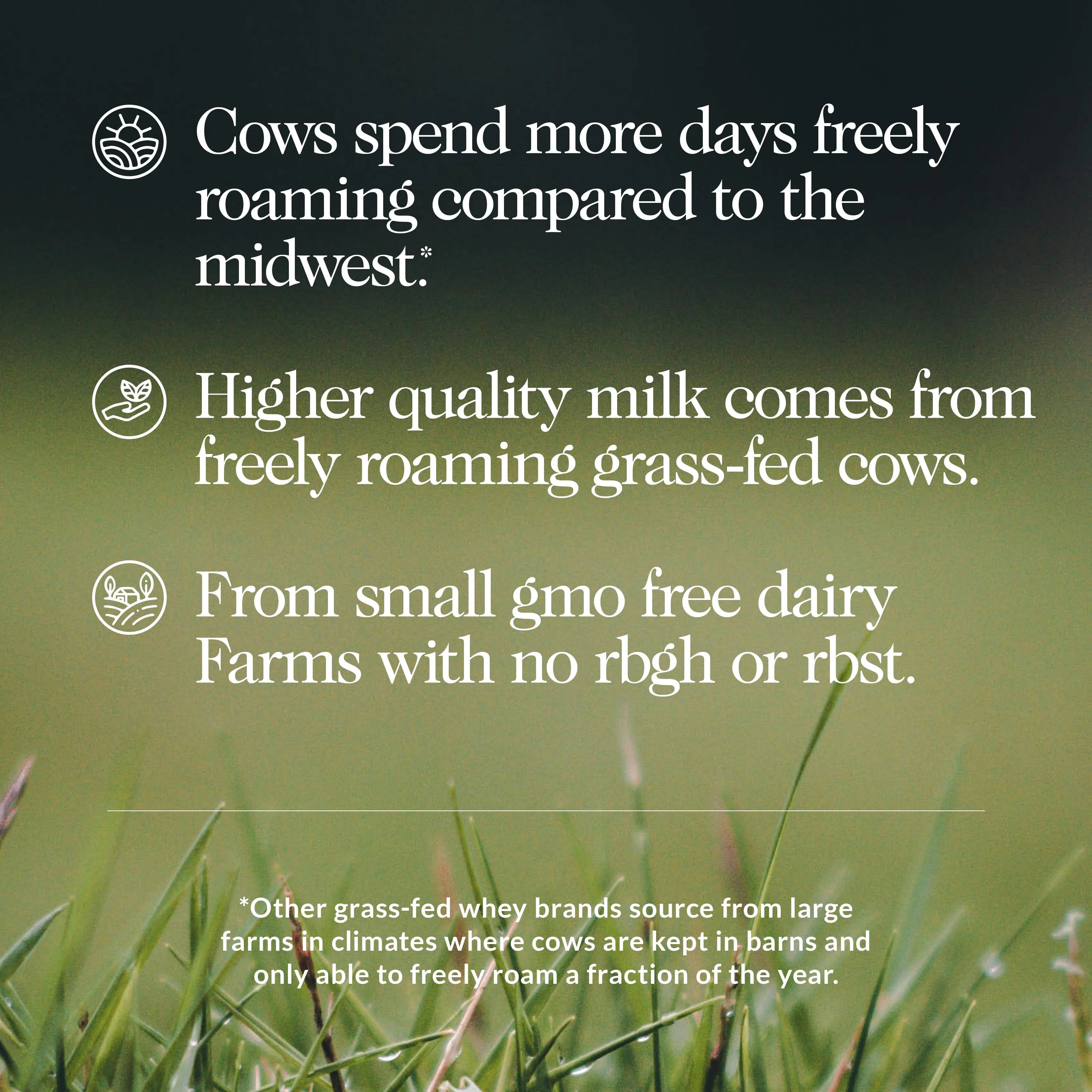 Grass Fed Whey Isolate Protein Powder | Naked Whey Isolate - 2LB