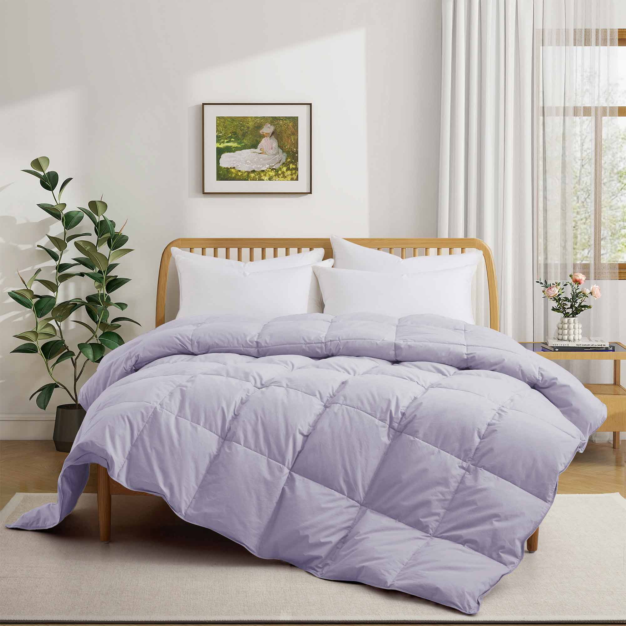 All Season Organic Cotton Down & Feather Comforter