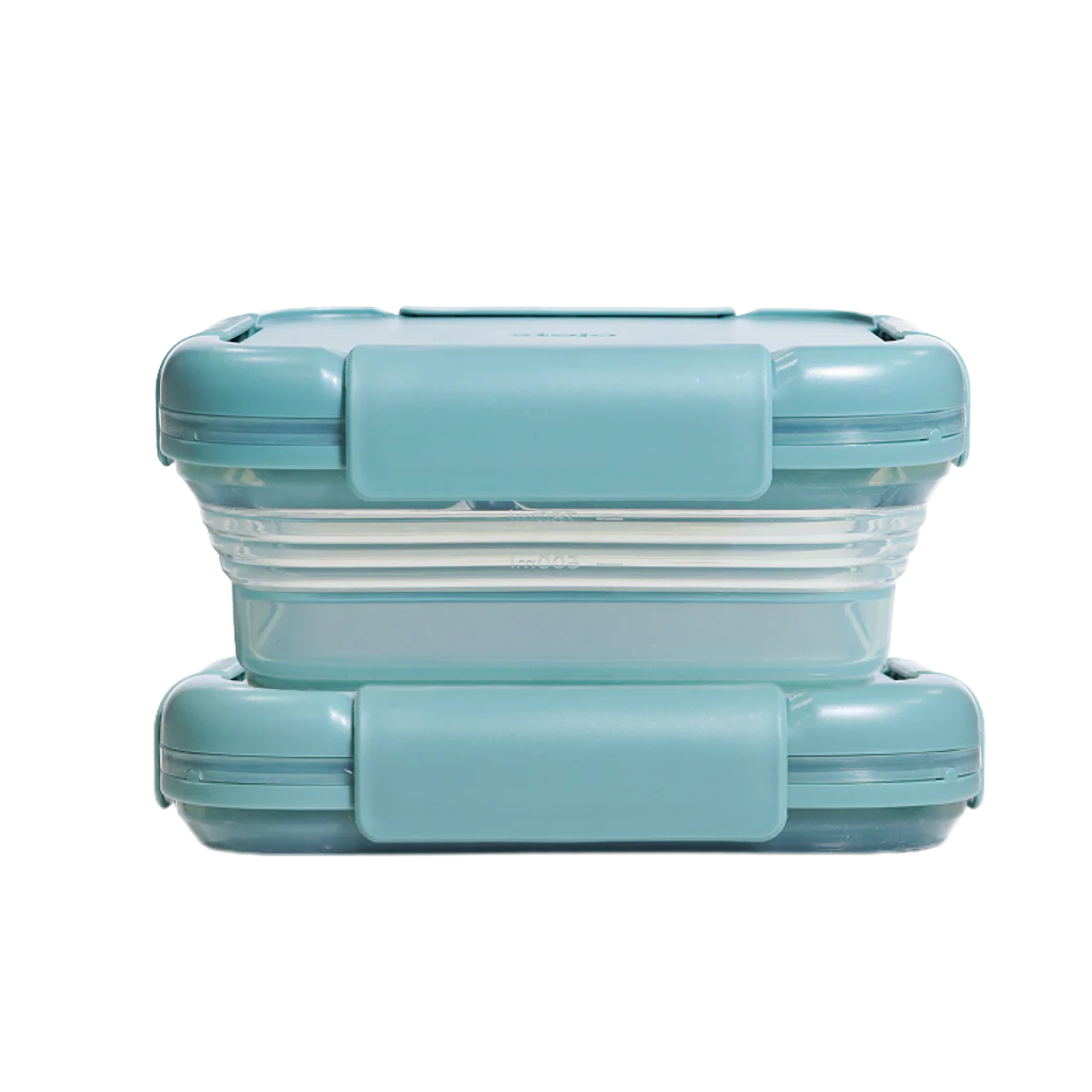Collapsible Bento Container