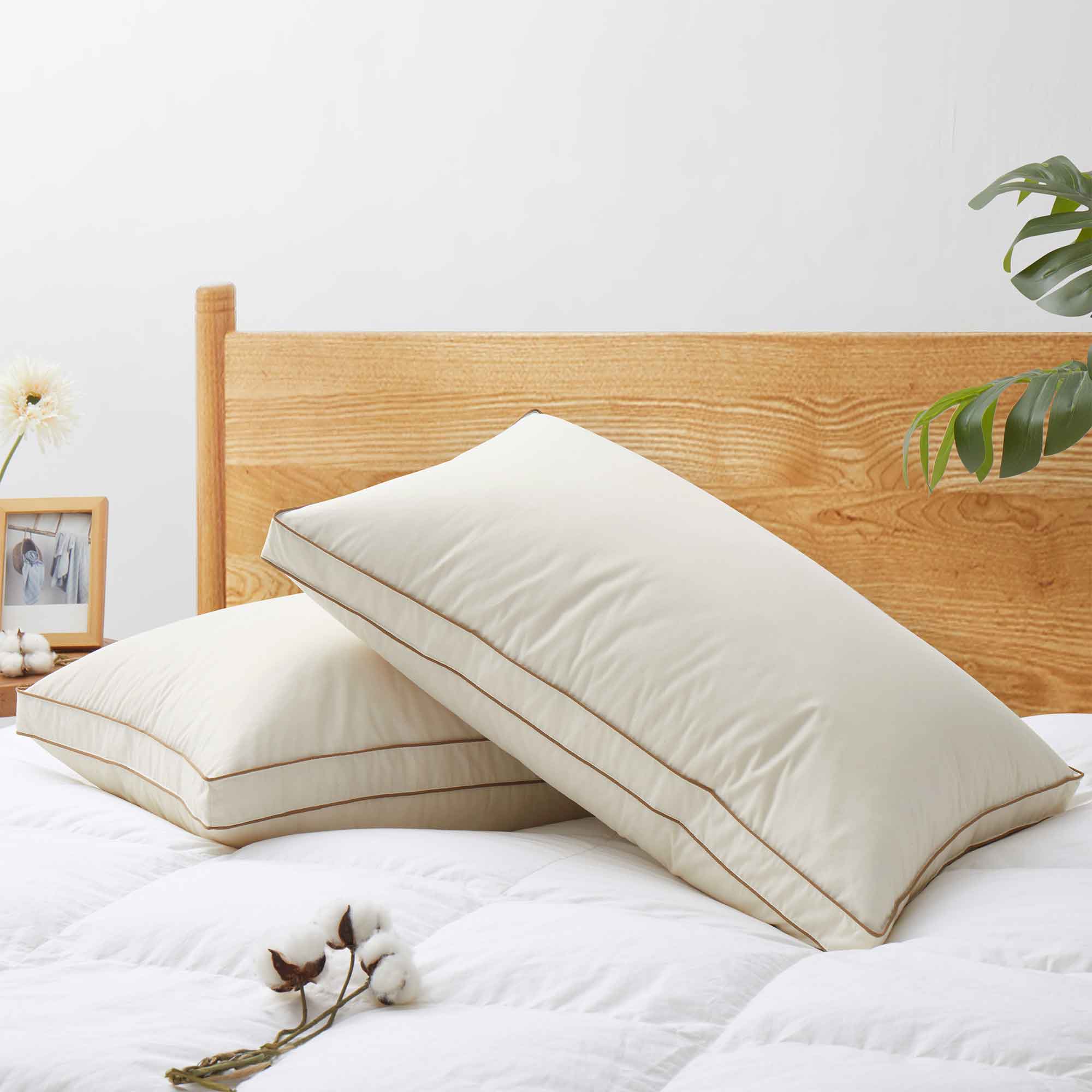 2 Pack Organic Cotton Down Feather Pillows for Back and Side Sleepers