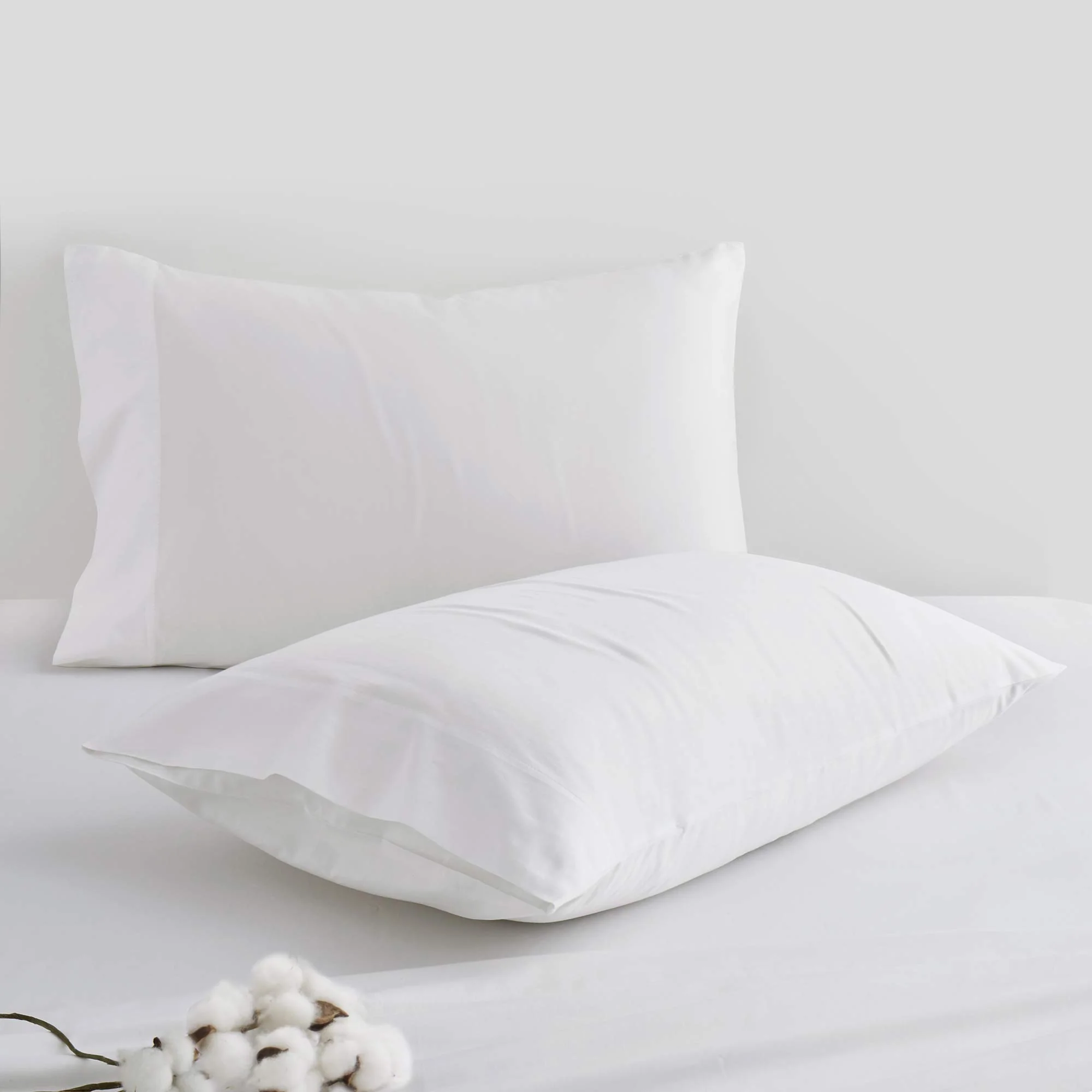 Organic Cotton Sheet Set