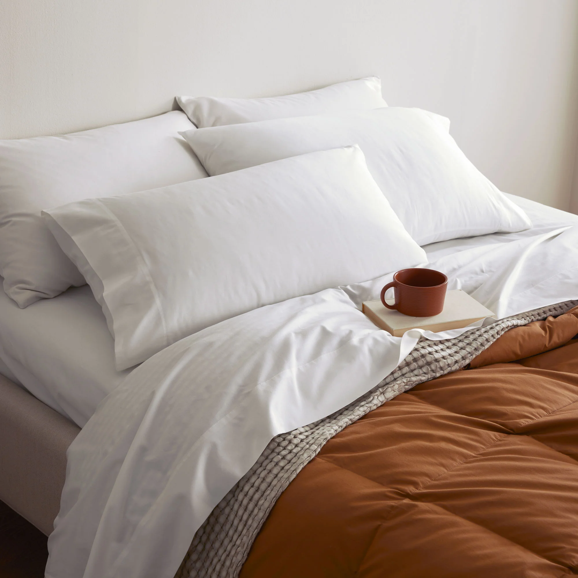 Organic Cotton Sheet Set