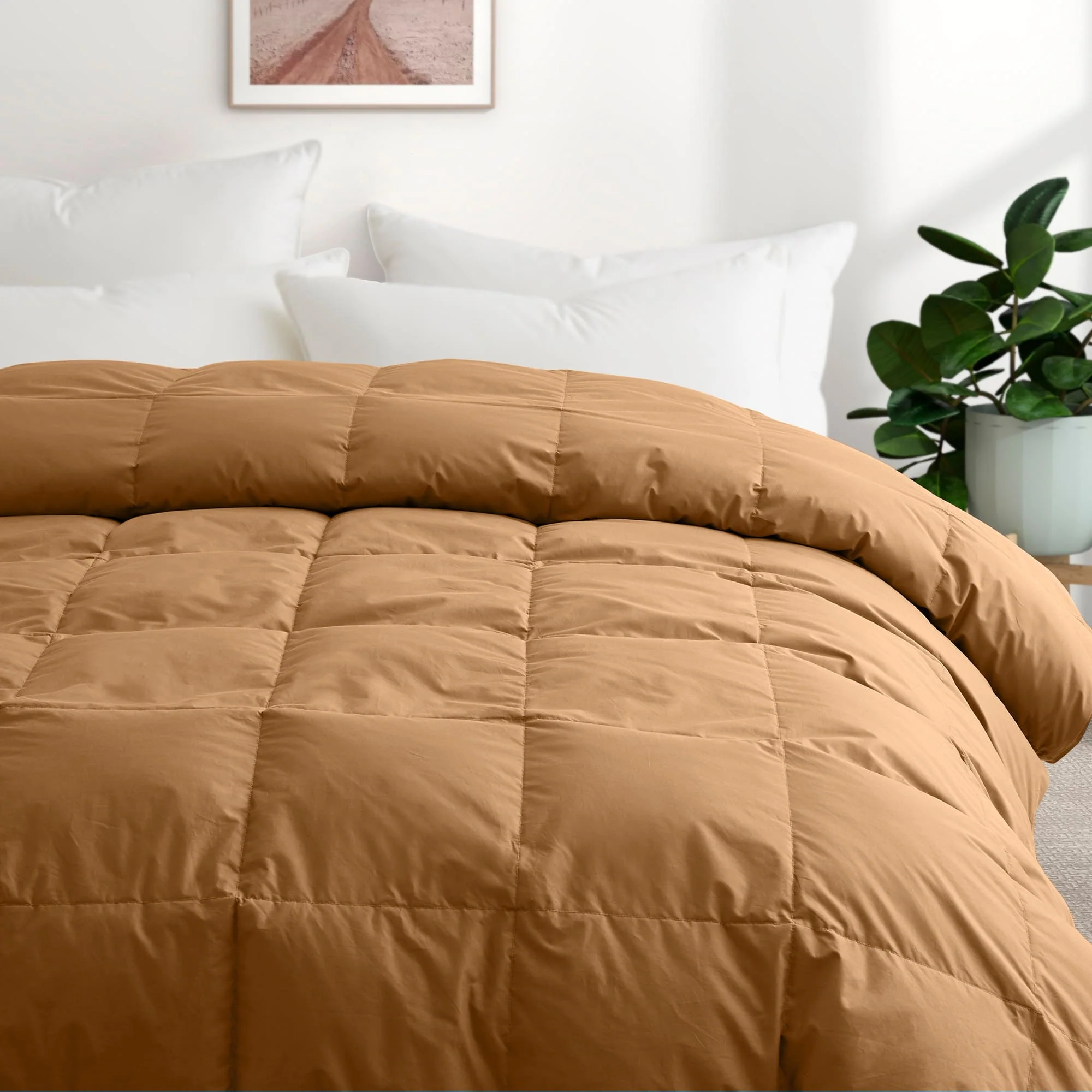 All Season Organic Cotton Down & Feather Comforter