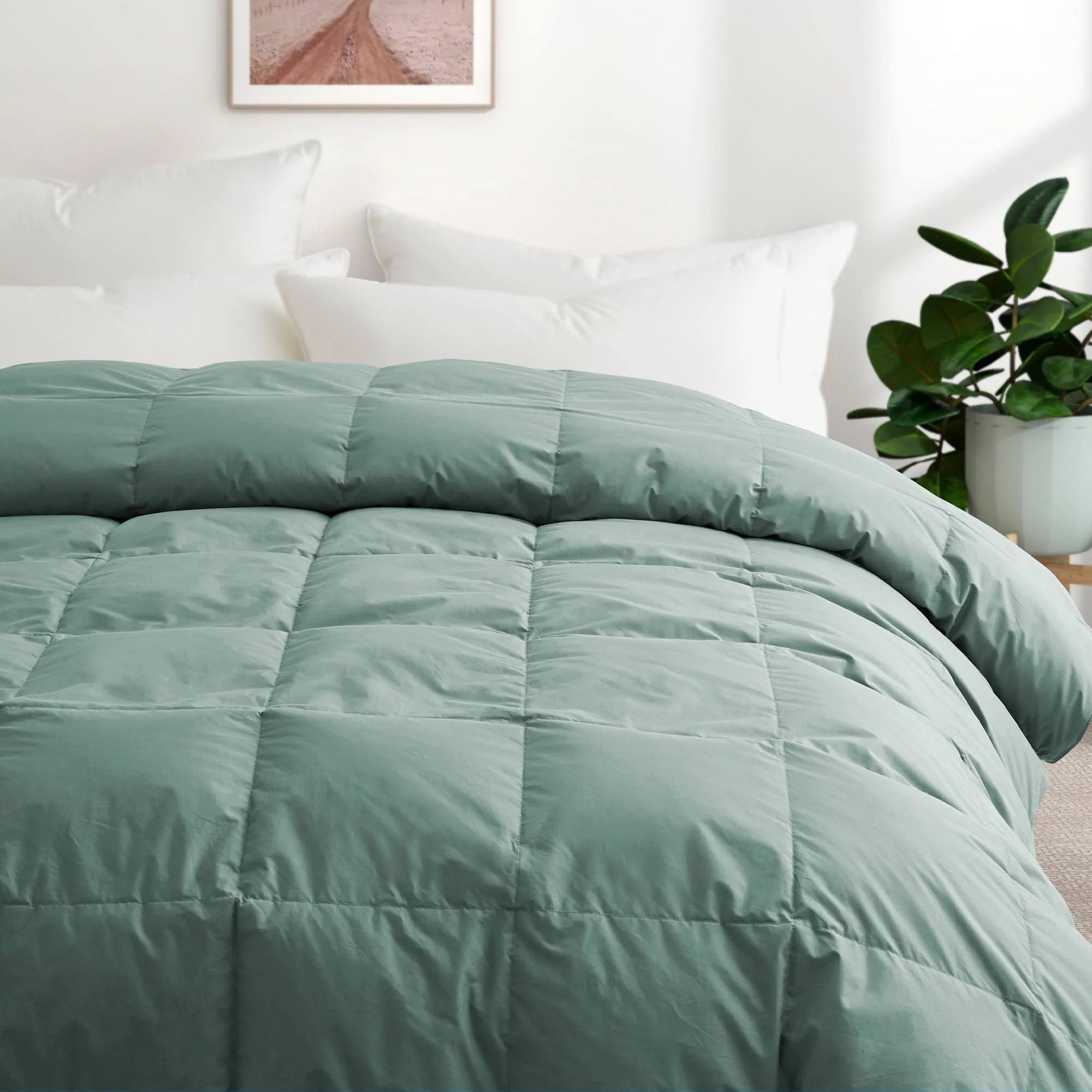 All Season Organic Cotton Down & Feather Comforter