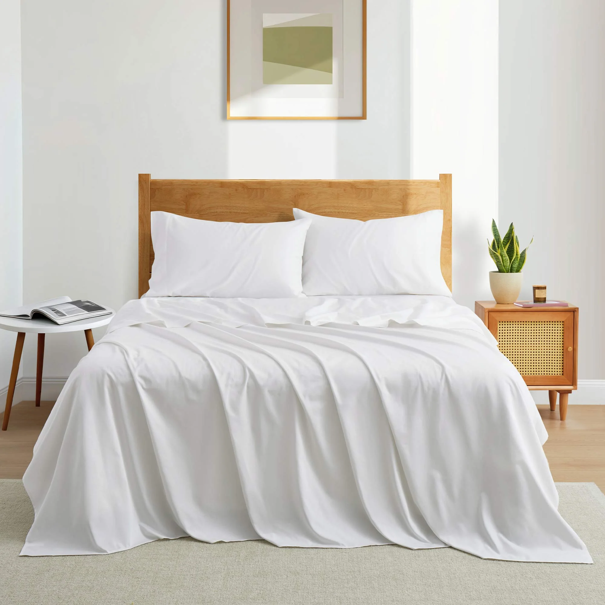 Organic Cotton Sheet Set