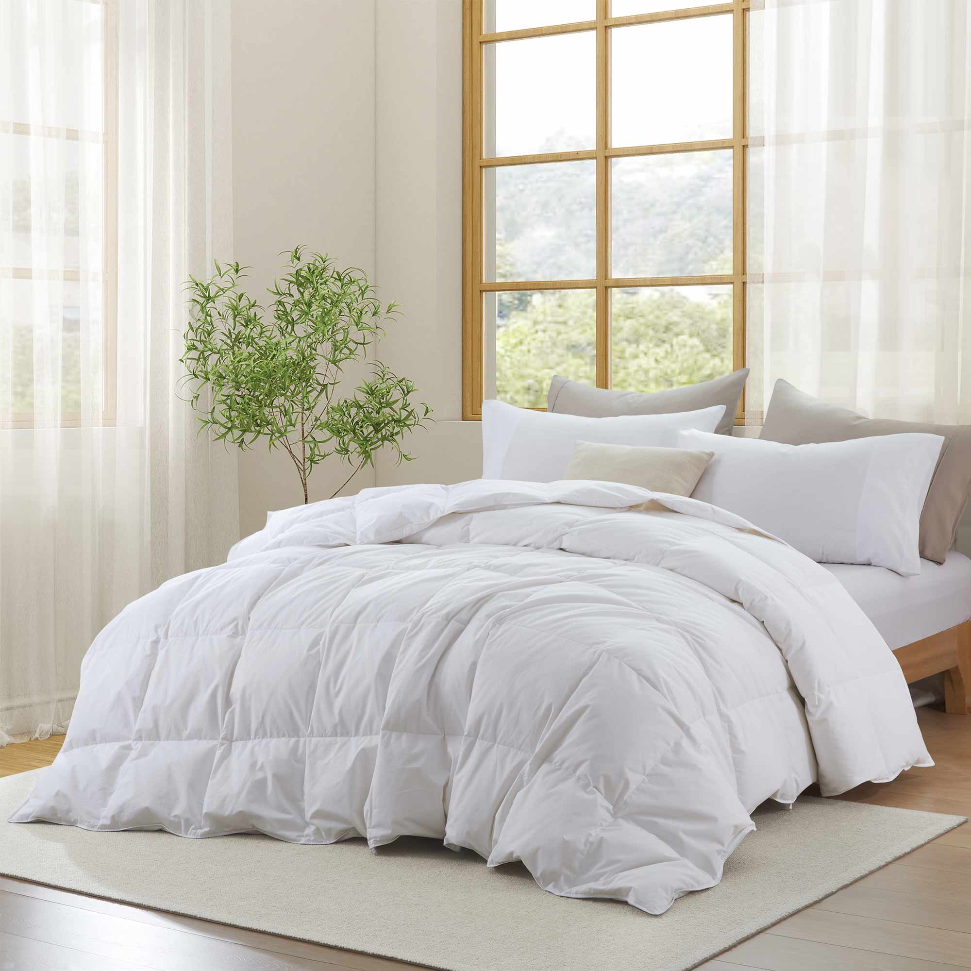 All Season Organic Cotton Down & Feather Comforter
