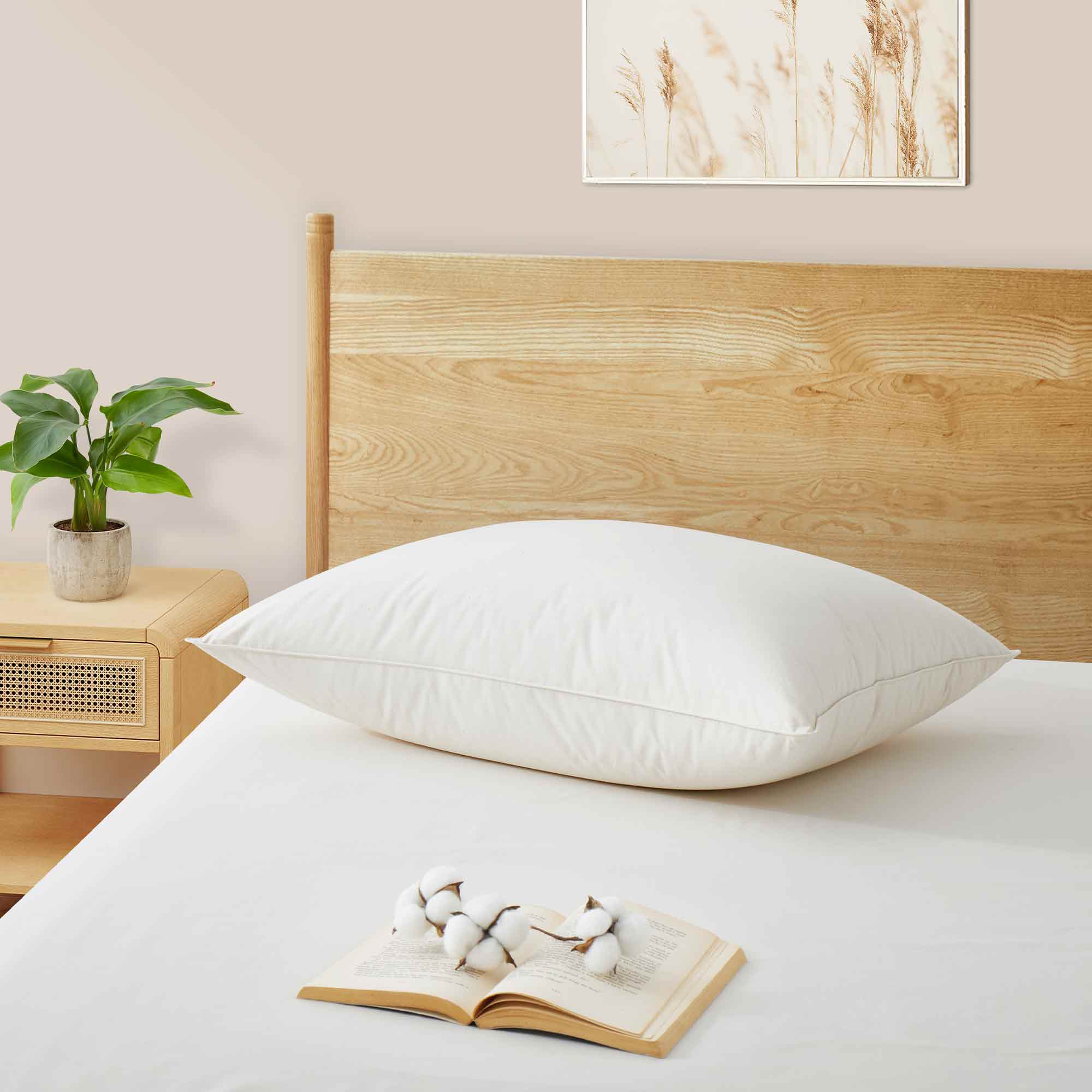 Organic Cotton Down Pillow