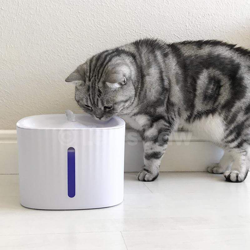 Cat Water Fountain