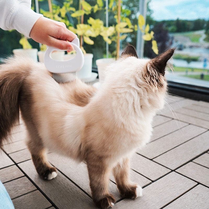 (3 Pack Bundle) Cat Hair Removal Massaging Shell Comb