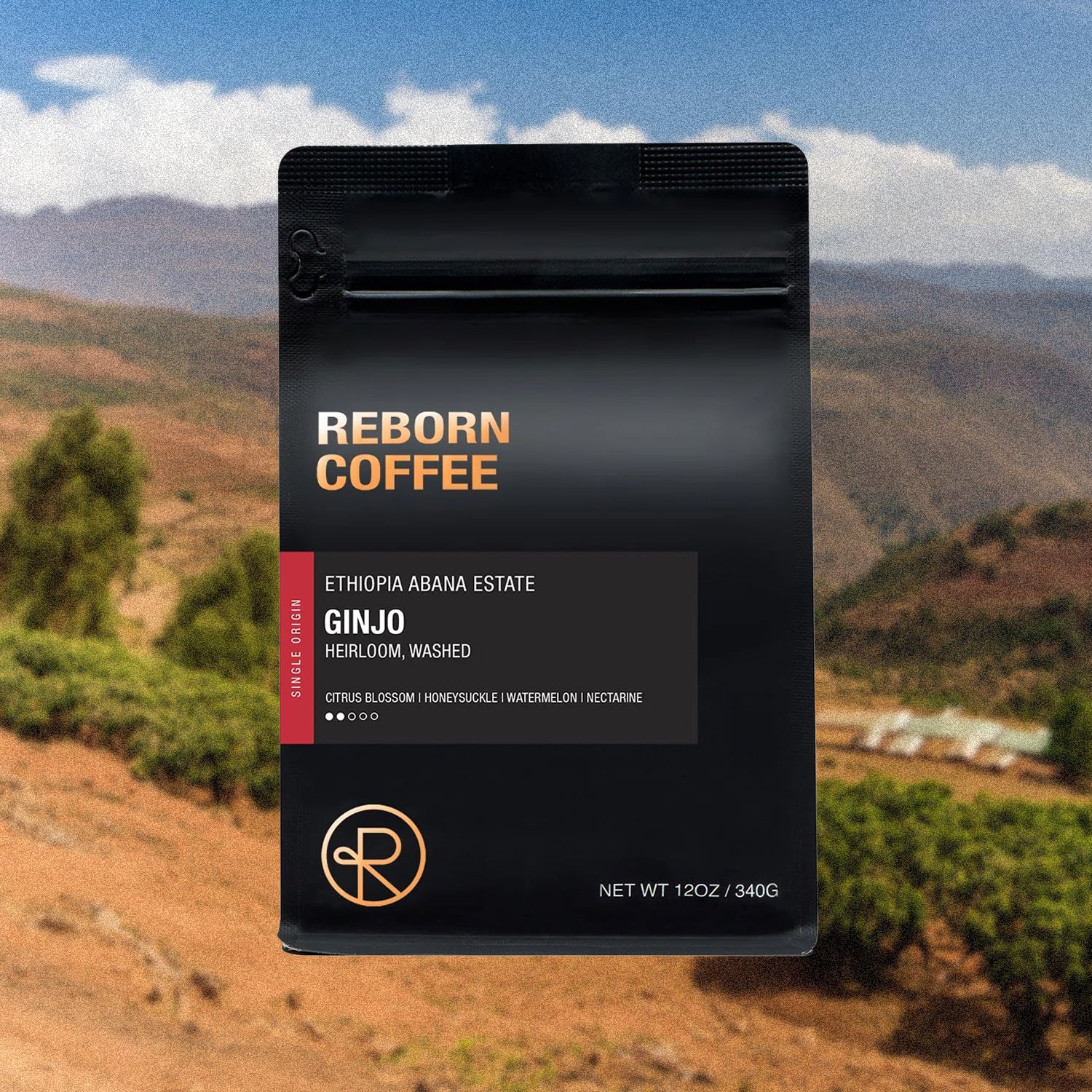 ETHIOPIA ABANA ESTATE, GINJO