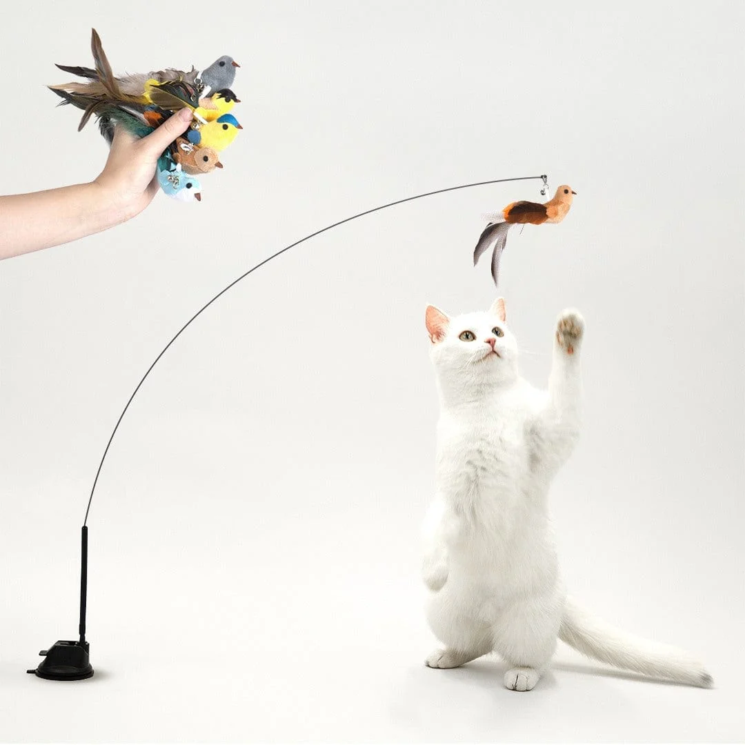 Interactive Bird Simulation Cat Toy Set | Leo's Paw