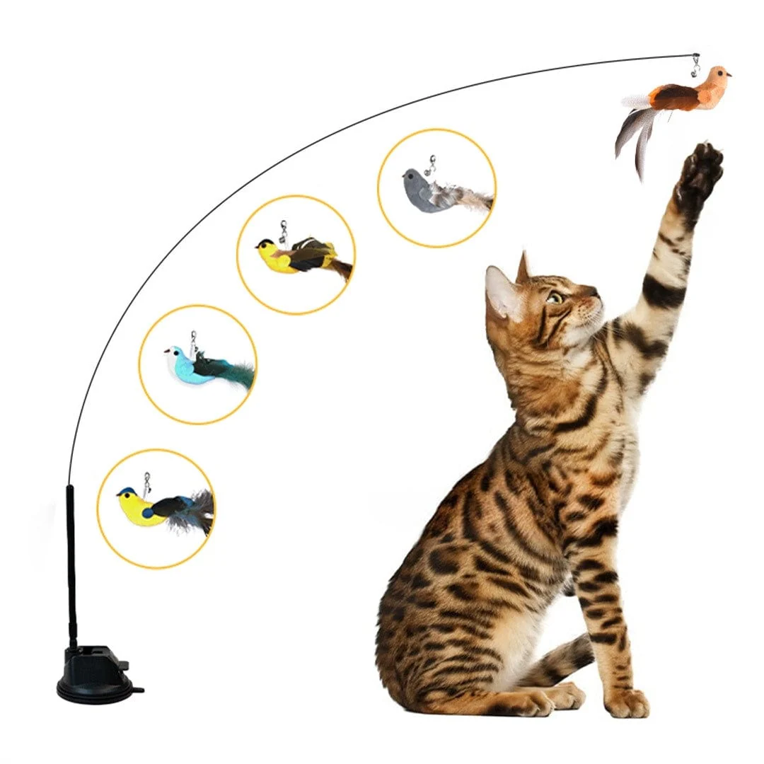 Interactive Bird Simulation Cat Toy Set | Leo's Paw