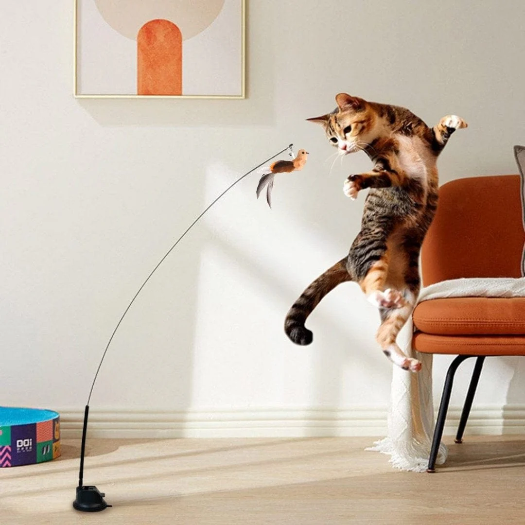 Interactive Bird Simulation Cat Toy Set | Leo's Paw