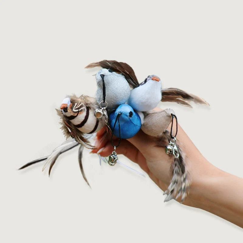 Replacement Birds (for Interactive Bird Simulation Cat Toy Set)