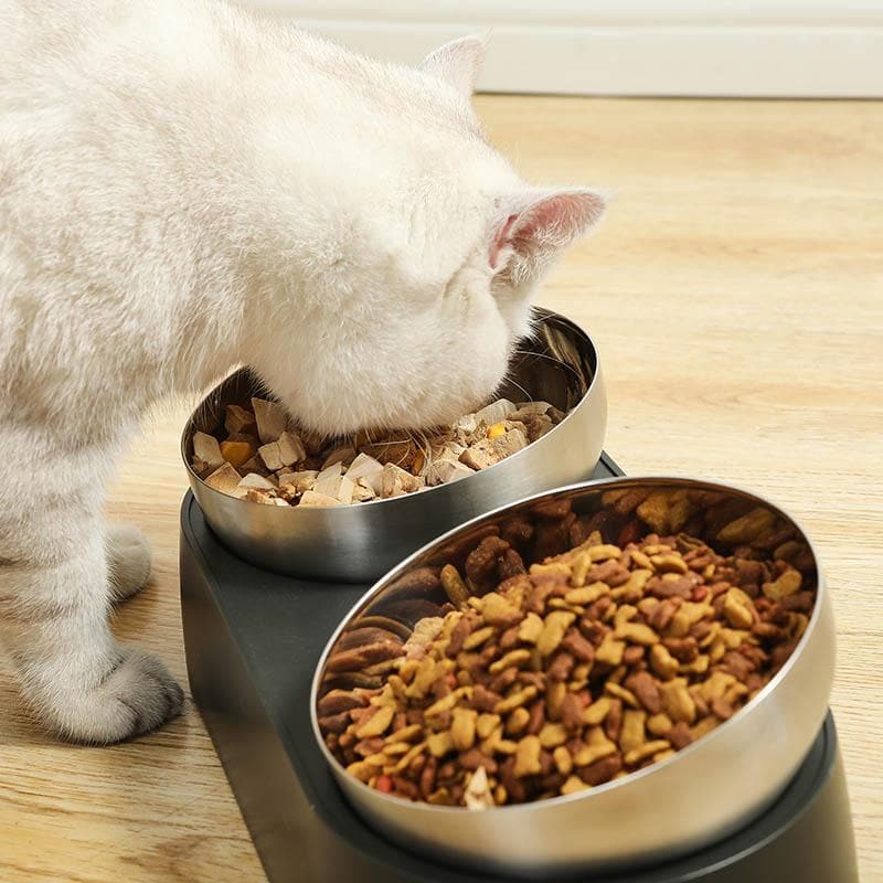 Anti-Vomiting Stainless Steel Cat Bowl