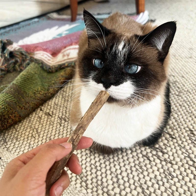 Catnip Chew Toy Sticks
