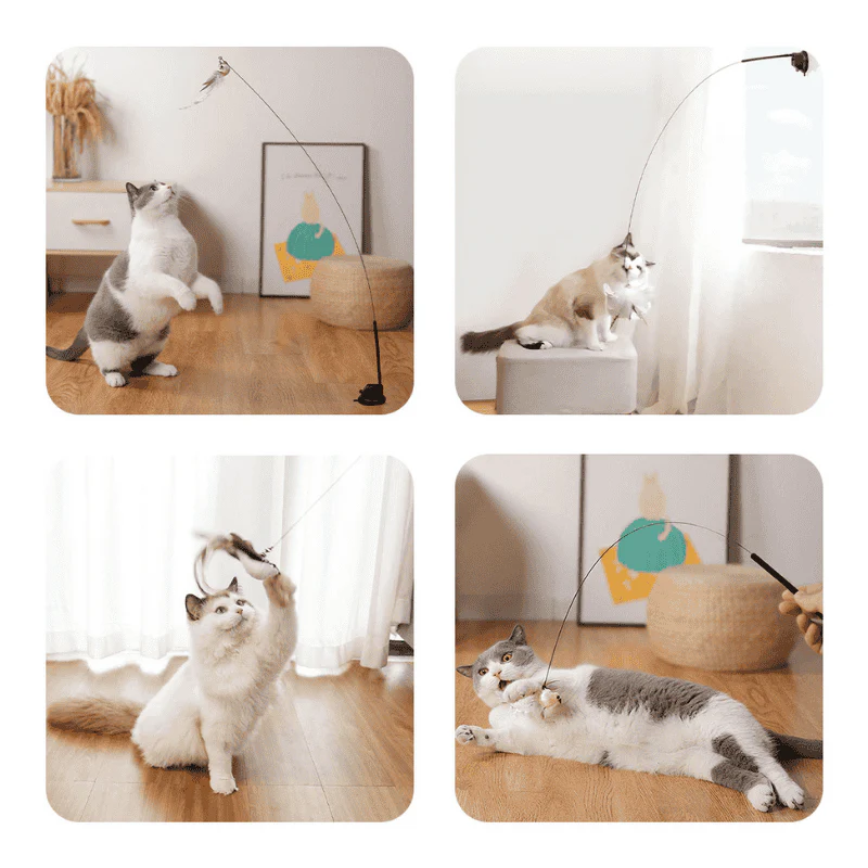 Interactive Bird Simulation Cat Toy Set | Leo's Paw