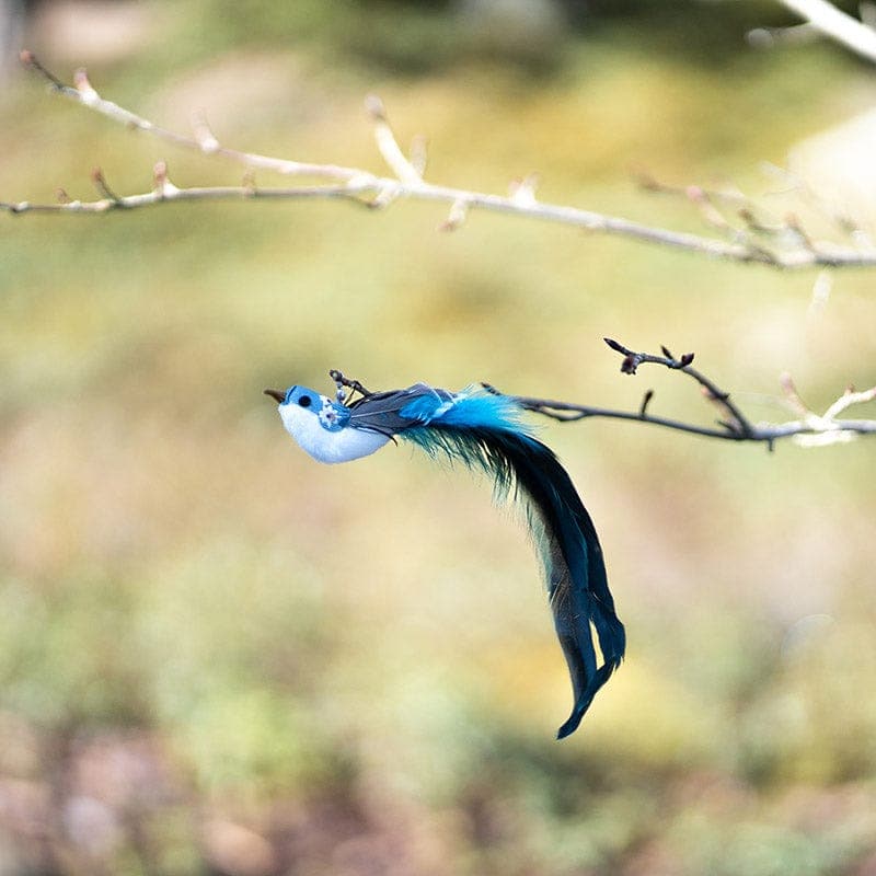 Replacement Birds (for Interactive Bird Simulation Cat Toy Set)