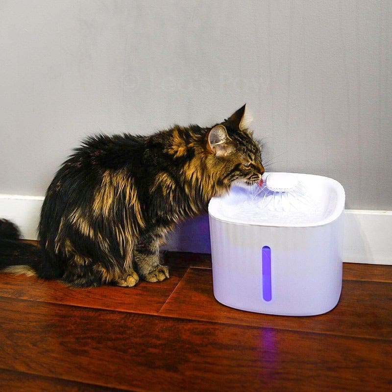 Cat Water Fountain