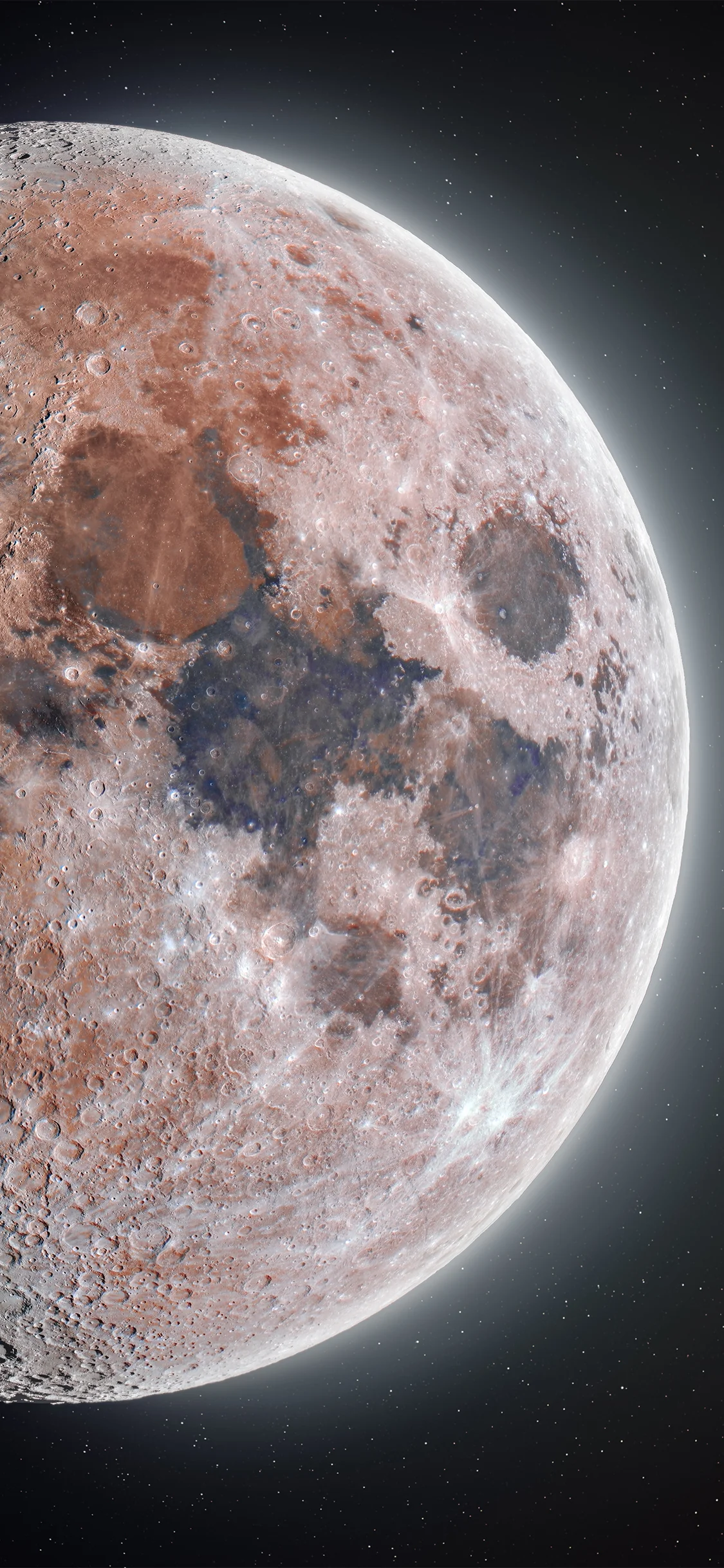 The Hunt for Artemis [Limited Edition]