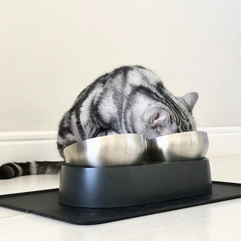 Anti-Vomiting Stainless Steel Cat Bowl