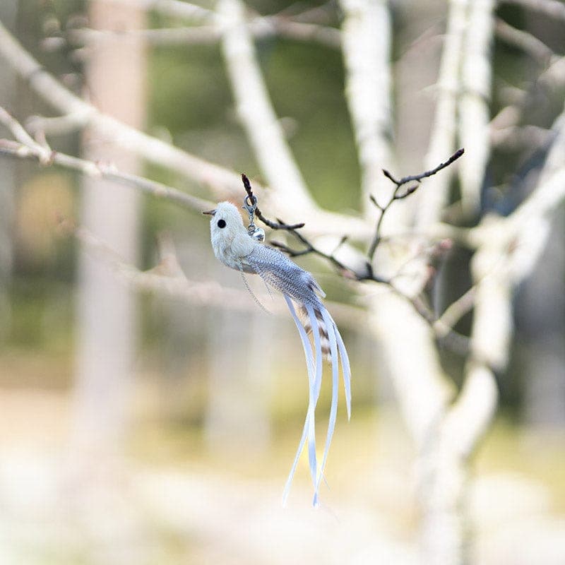 Replacement Birds (for Interactive Bird Simulation Cat Toy Set)