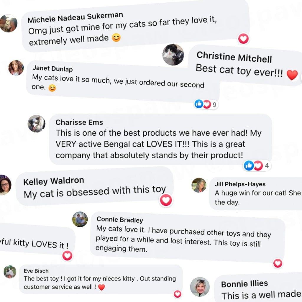 Interactive Bird Simulation Cat Toy Set | Leo's Paw