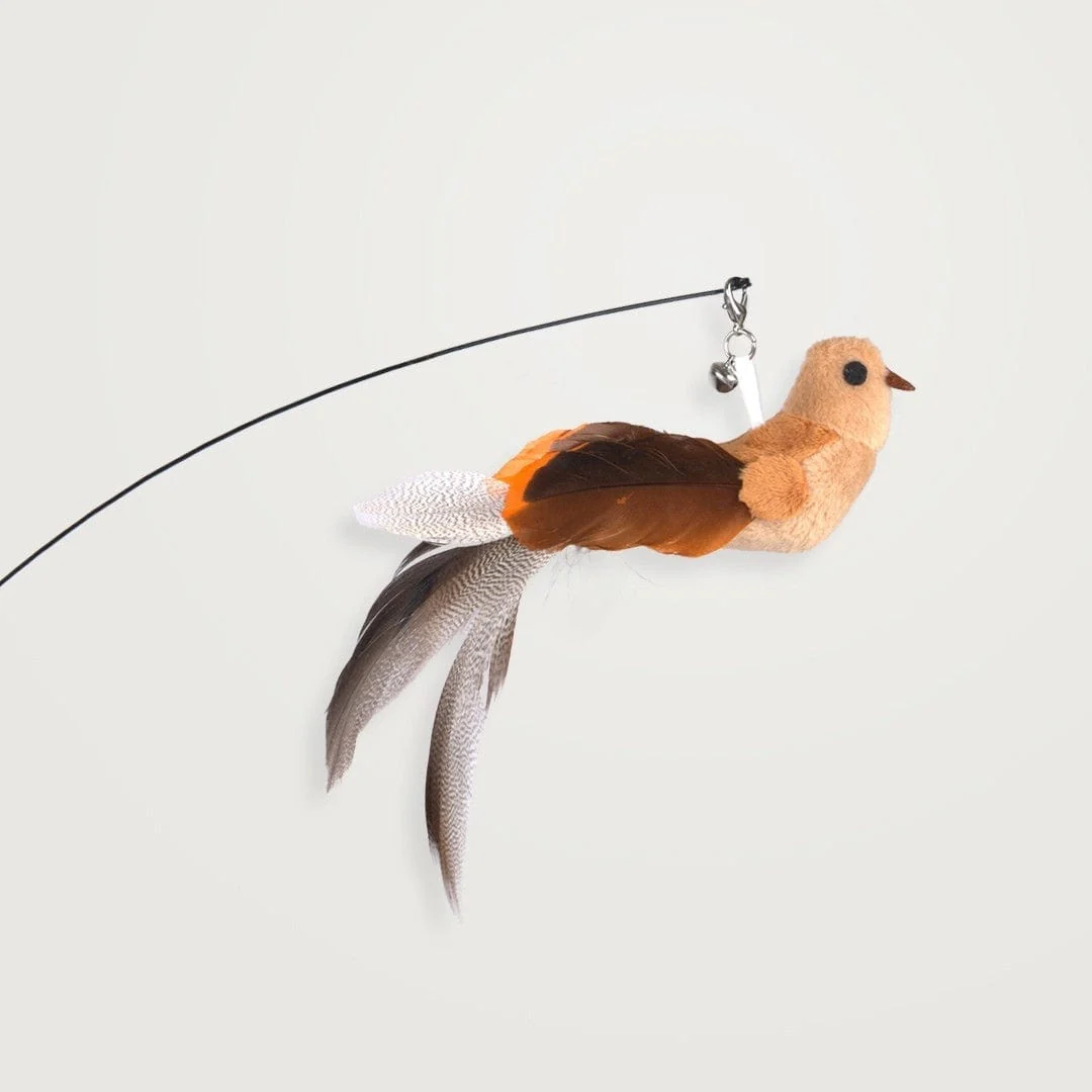Interactive Bird Simulation Cat Toy Set | Leo's Paw