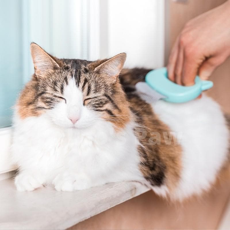 (3 Pack Bundle) Cat Hair Removal Massaging Shell Comb