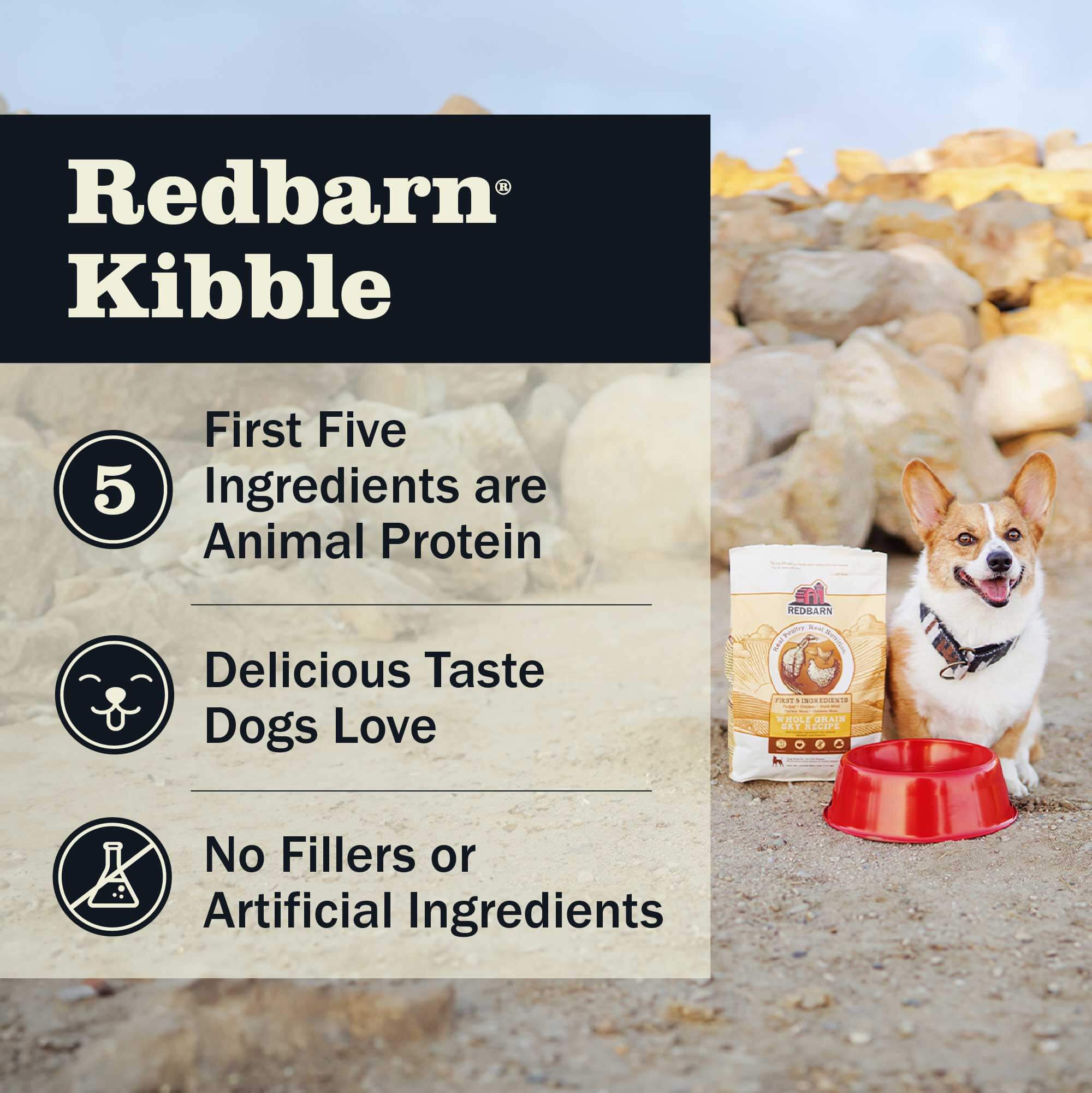 First-Five Kibble Grain-Free Sky Recipe