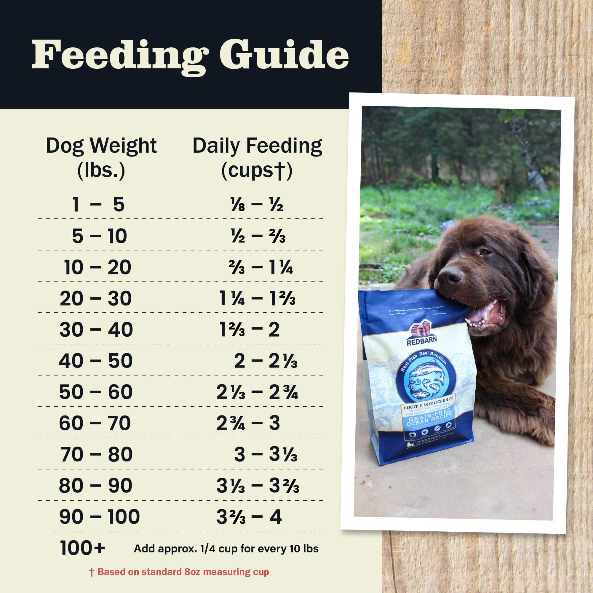 First-Five Kibble Grain-Free Ocean Recipe