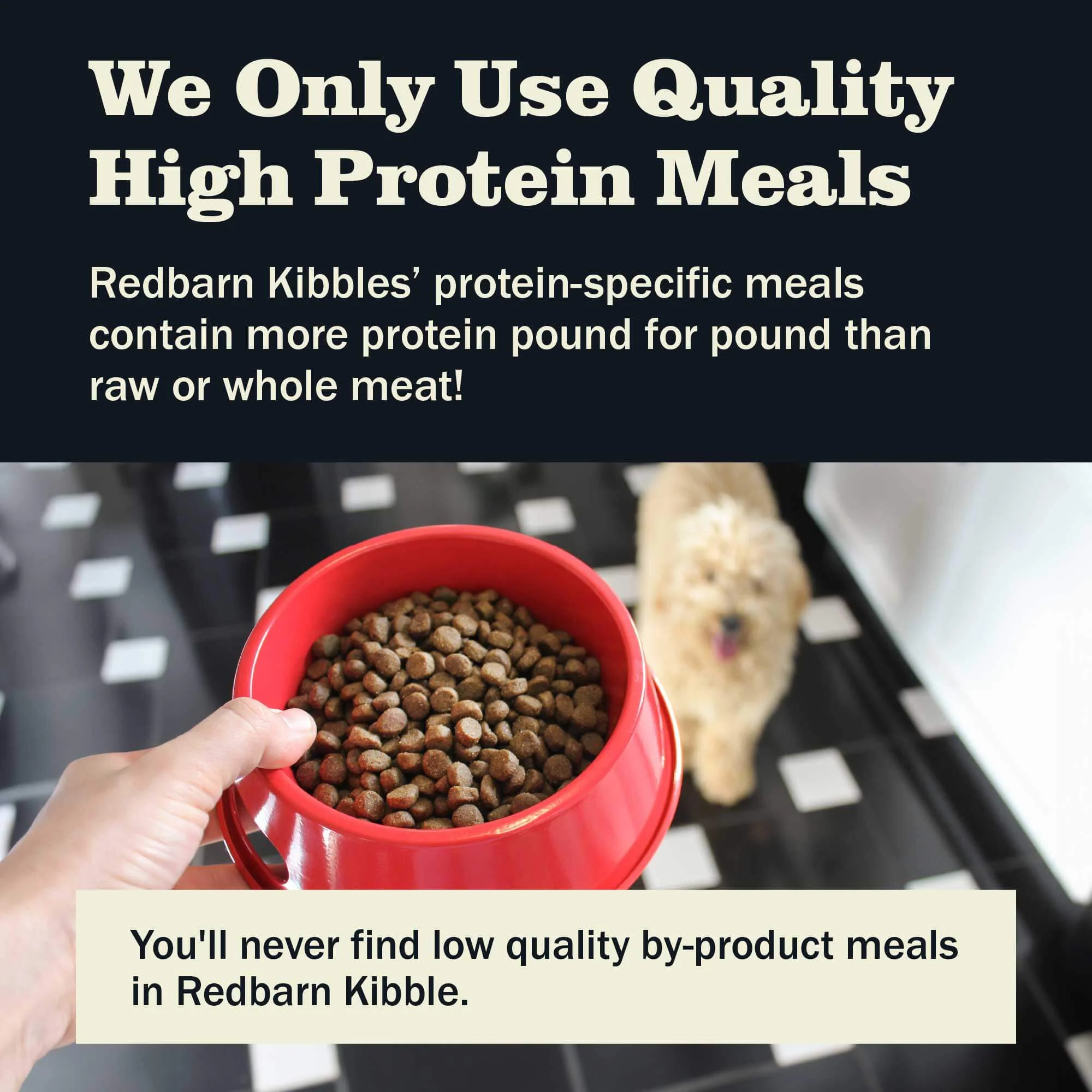 First-Five Kibble Whole Grain Land Recipe